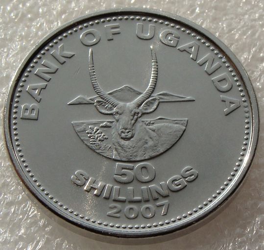Уганда. 50 шиллингов 2007 год  КМ#66