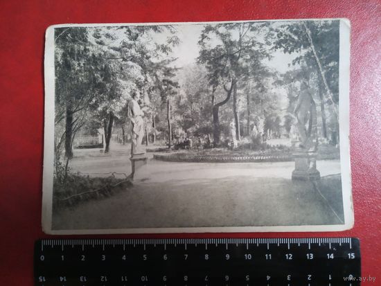 Редкая видовая открытка. Почтовая карточка. Летний сад .15000 экз. 1948 год.
