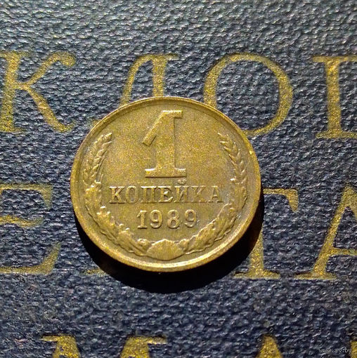 1 копейка 1989 СССР #34