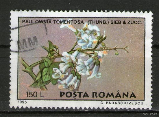 Румыния. Михель- 5131. Гашеная.
