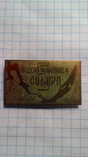 5-я конференция "Водохранилища Сибири". Иркутск, 1980 год.