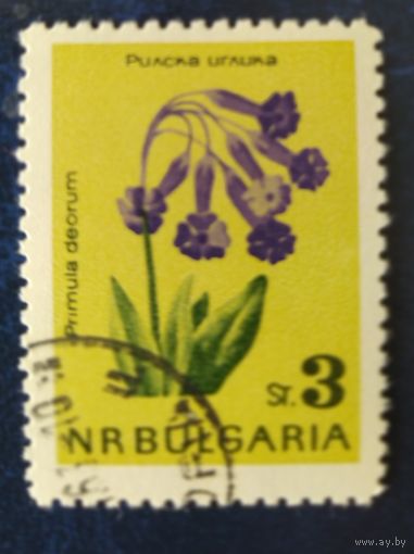 Болгария 1963 цветы