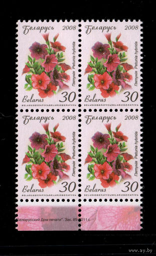 Беларусь. 2008. Стандарт.  Петуния (30р) (з.85-2011)