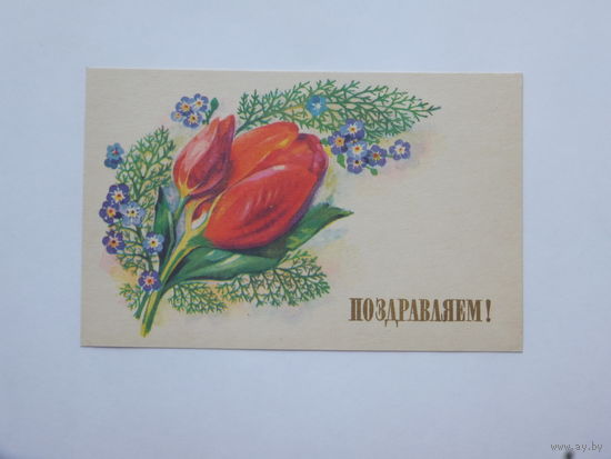 Александров  поздравляем 1977  10х15 см