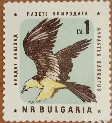 Болгария. Фауна. Птицы. Gypaetus Barbatus