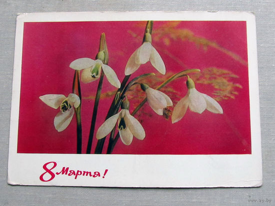 С025-02-0294 Открытка 8 марта! Фото Дергилев 1970 Подписана