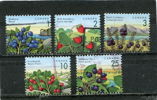 Канада. Съедобные ягоды