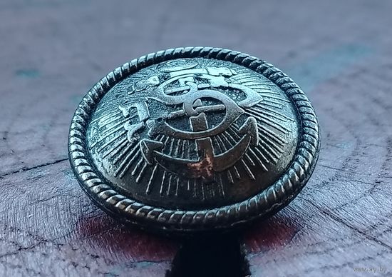 Пуговица морская (Европа)