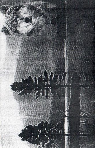 Valhalla "The Wolfish Nocturne" кассета