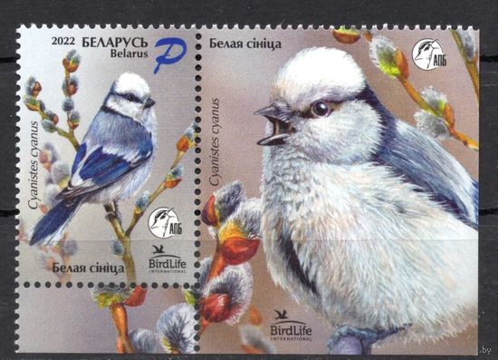 Беларусь 2022. Птица года. Синица. 1марка+купон (1180)