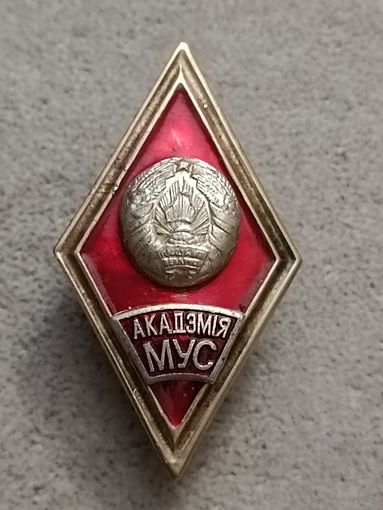 Академия МВД