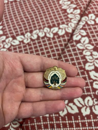 Три страны - один народ Минск 2006 федерация профсоюзов Беларуси значок