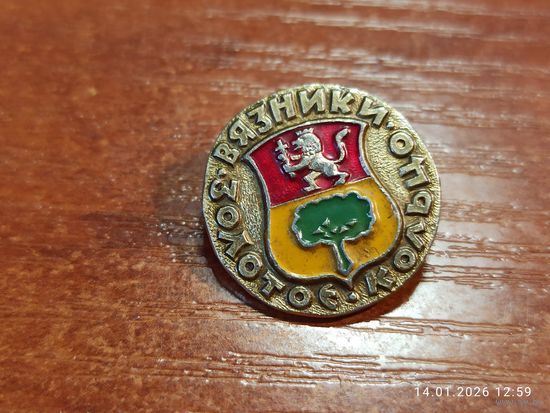 Знак значок Вязники золотое кольцо