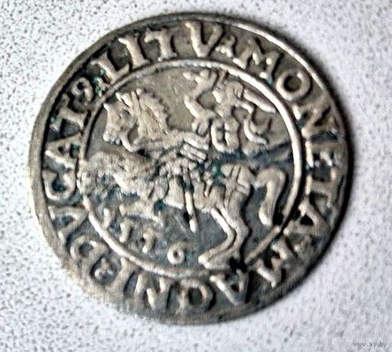 Полугрош 1564 г. Сигизмунд II Август.