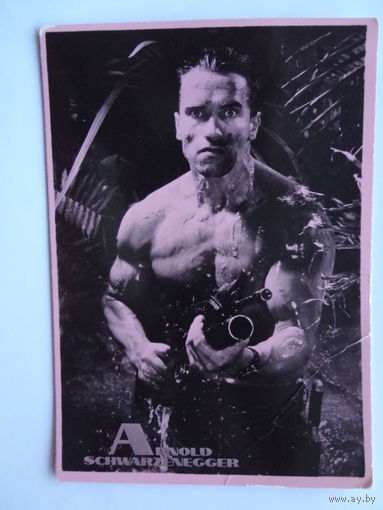 Календарик 1901-2000 г.  Шварценеггер.