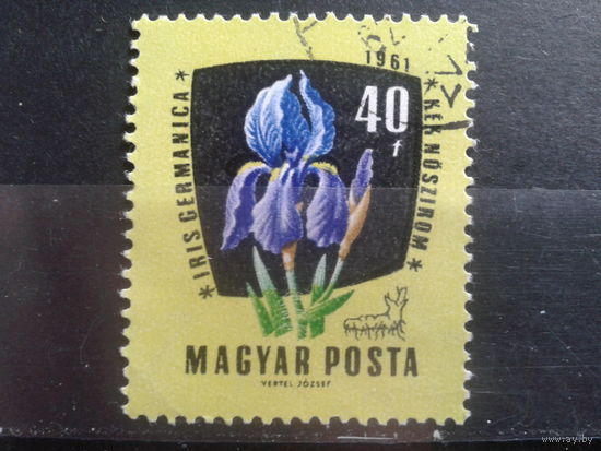 Венгрия 1961 цветы