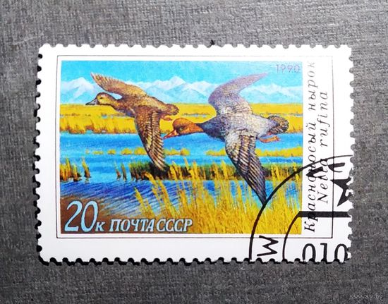 Марка СССР 1990 год Утки