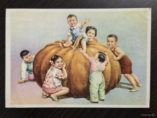 Большая тыква 1960-е подписанная открытка СССР