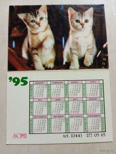 Карманный календарик.Кошки.1995 год