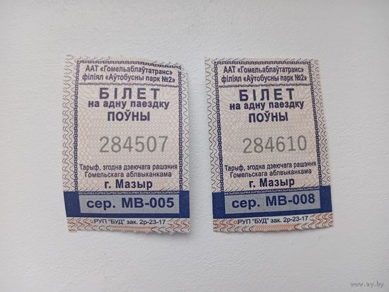Билет на одну поездку. г. Мозырь