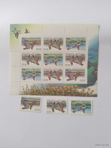 Россия   1995  3 м+общ.м/лист  утки