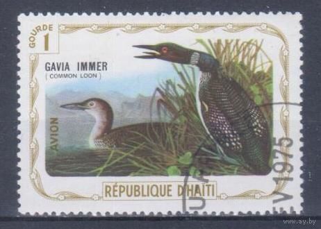 [338] Гаити 1975. Фауна.Птицы.Гагара. Гашеная марка.