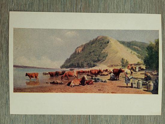 1951. соцреализм. Грицай. Стадо