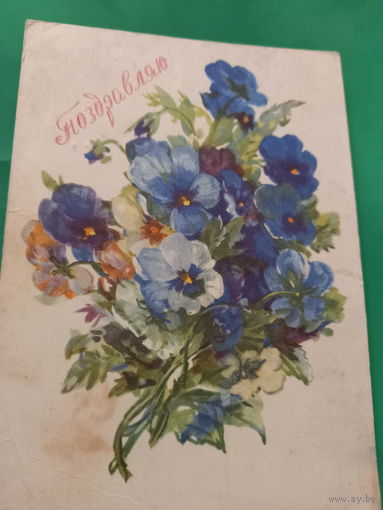 Хвостенко Поздравляю!