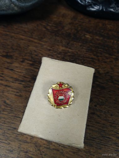 Значок ,Венгрия, латунь.
