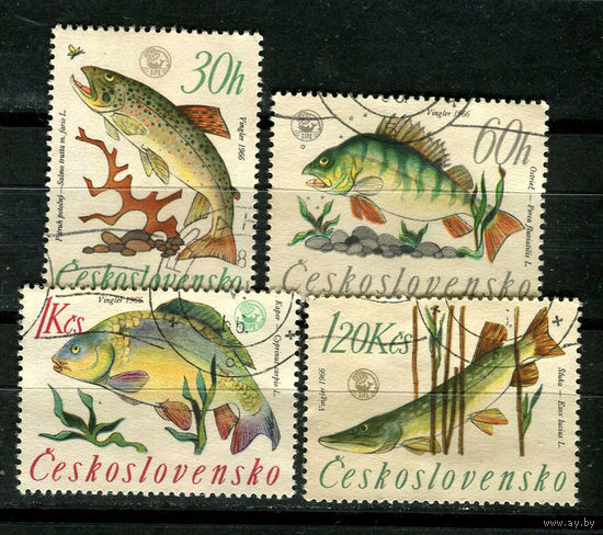 Чехословацкая Социалистическая Республика - 1966 - Рыбки - 4 марки. Гашеные.  (Лот 21JE)-TG2P5