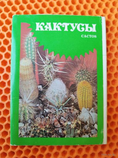 Кактусы. Выпуск 1. 1984 год. 22 открытки