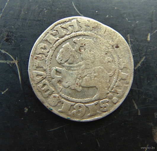 Полугрош 1513 Полная дата