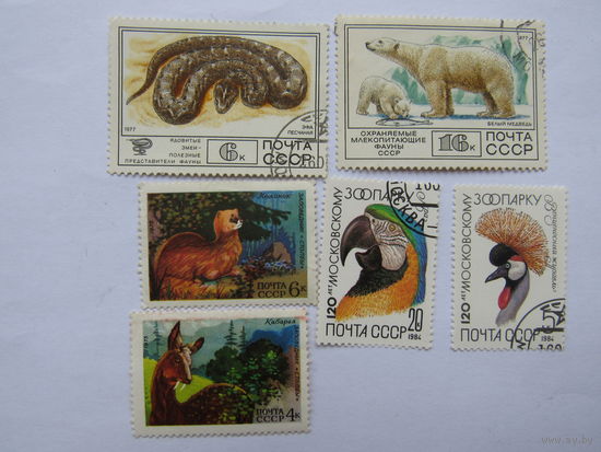 Фауна CCCР.