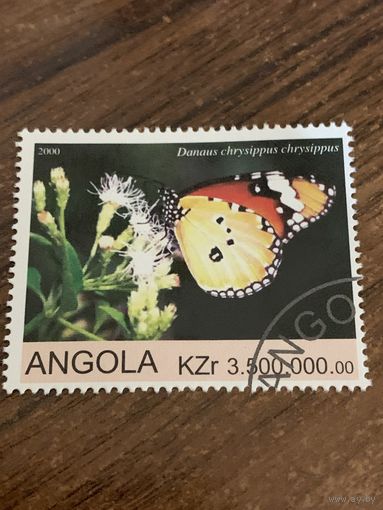 Ангола 2000. Бабочки. Danaus chryssipus chryssipus. Марка из серии