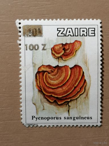 Марка из серии "ГРИБЫ" 1979 год,  Заир (ДР Конго), 1990 "Надпечатка 100 z"