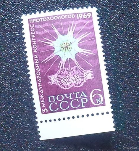 1969, июнь. III Международный конгресс протозоологов в Ленинграде