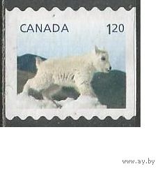 Канада. Детёныши дикой природы. 2014г. Mi#2884.