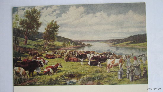 1954. Соцреализм. Яковлев. Колхозное стадо