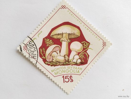 Монголия   1971  грибы