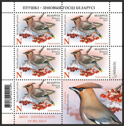 2023г Беларусь MNH Малый лист "Птицы – зимние гости Беларуси"