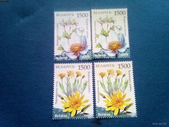 Беларусь 2009 2 серии цвет цветы