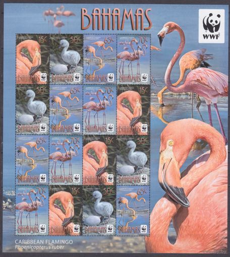 2012 Багамские острова 1447-1450KL полоса WWF, Птицы