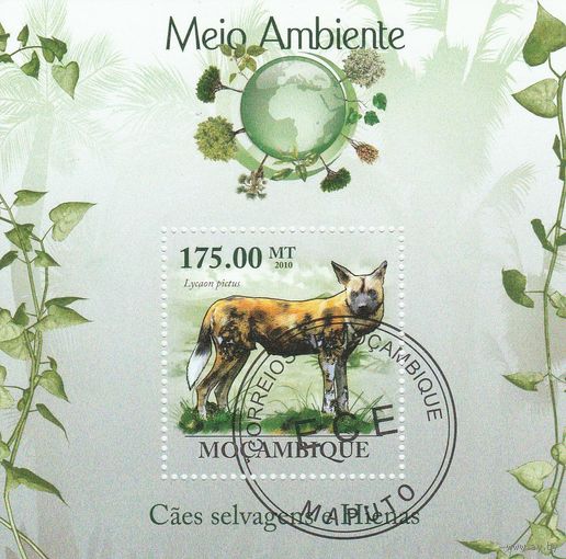 Мозамбик ,,Фауна,, 2010г Б