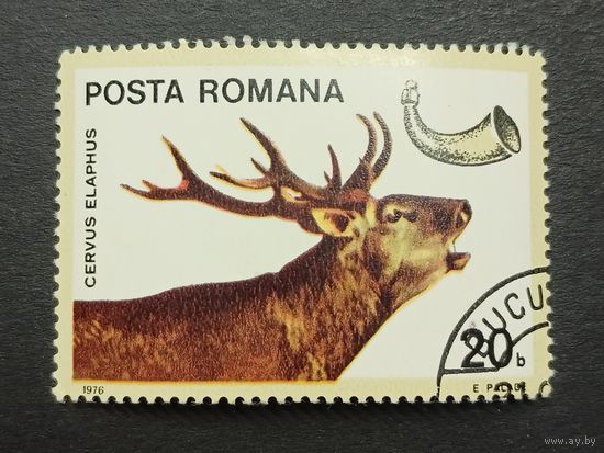 Румыния 1976. Животные