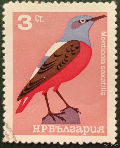 Болгария 1965 птица 1 из 8, клей.
