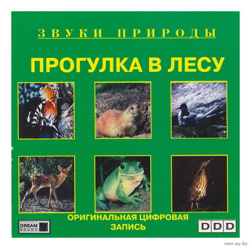 Прогулка в лесу