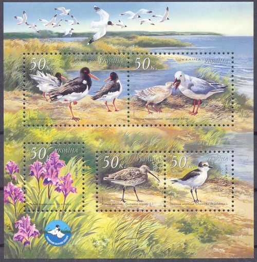 Украина черноморский биосферный заповедник фауна птицы