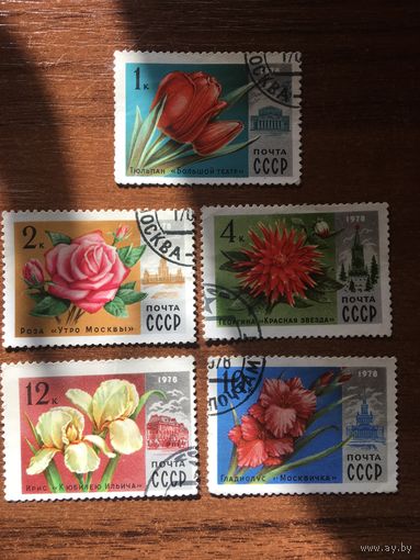 СССР 1978. Цветы Москвы. Полная серия.