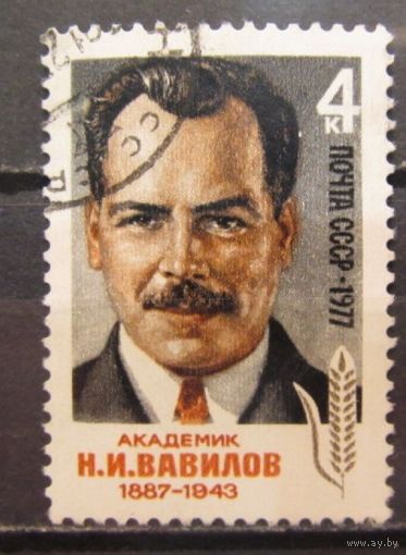 Марка СССР 1977 год. 4694. 90-летие со дня рождения Вавилова. Полная серия из 1 марки. 4694. Гашеная