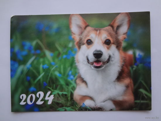 Календарик 2024 г. Вельш-корги.
